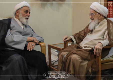 گزارش تصویری دیدار حجت‌ الاسلام والمسلمین ناطق نوری با مرجع عالیقدر