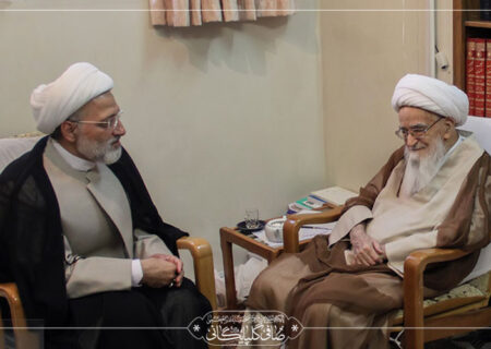 گزارش تصویری دیدار حجت‌ الاسلام محمد سعید مهدوی کنی فرزند آیت الله مهدوی کنی