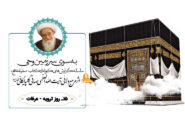 سفرنامه حج آیت الله العظمی صافی گلپایگانی (بخش پانزدهم: روز ترویه – عرفات)