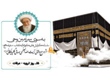 سفرنامه حج آیت الله العظمی صافی گلپایگانی (بخش پانزدهم: روز ترویه – عرفات)