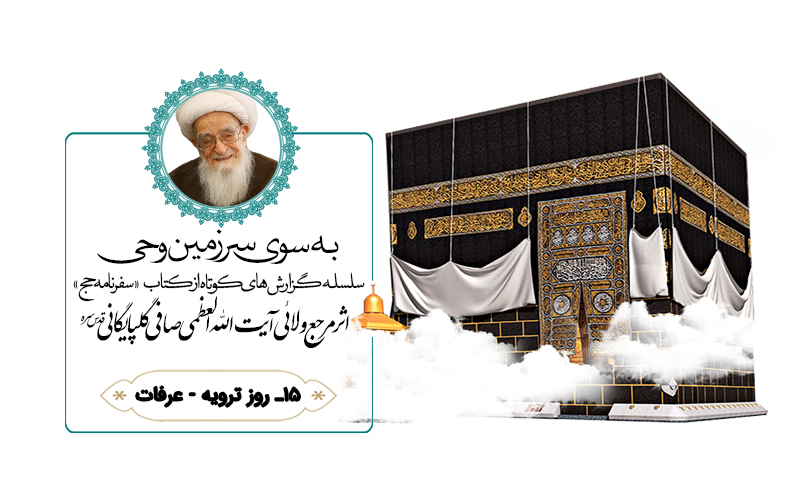 سفرنامه حج آیت الله العظمی صافی گلپایگانی (بخش پانزدهم: روز ترویه – عرفات)