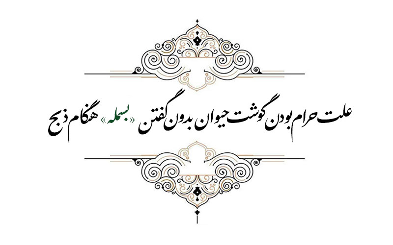 علت حرام بودن گوشت حیوان بدون گفتن «بسمله» هنگام ذبح